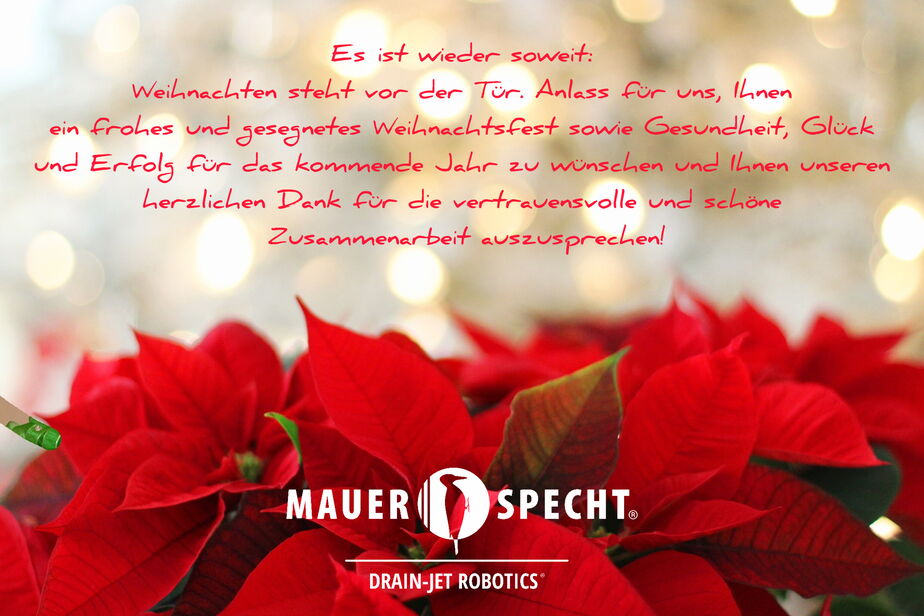 Weihnachtsgrüße 2024