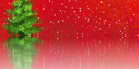 Frohe Weihnachten!
