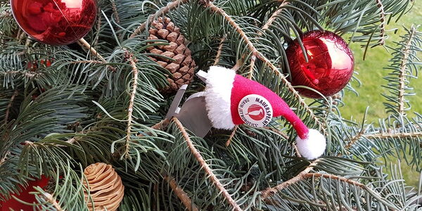 Frohe Weihnachten!